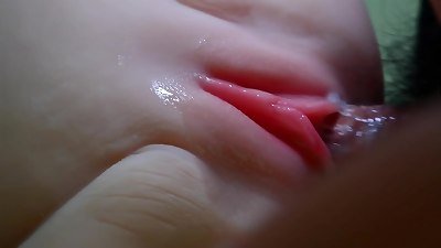 This one's in wild shape.